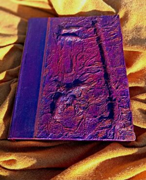 Libro XXII
